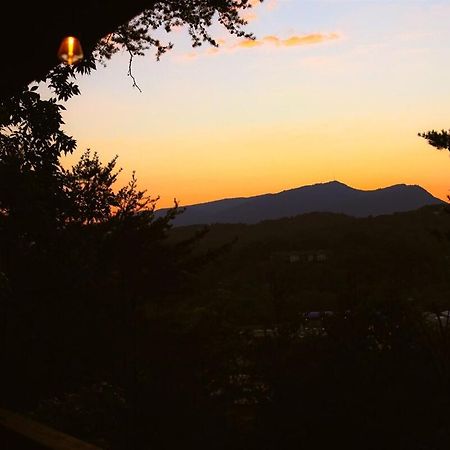 ピジョンフォージ Bluff Mountain Viewヴィラ エクステリア 写真
